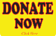 DONATE Now DONATE Now