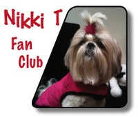 NIkkiLOGO