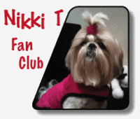 Nikki Fan Club