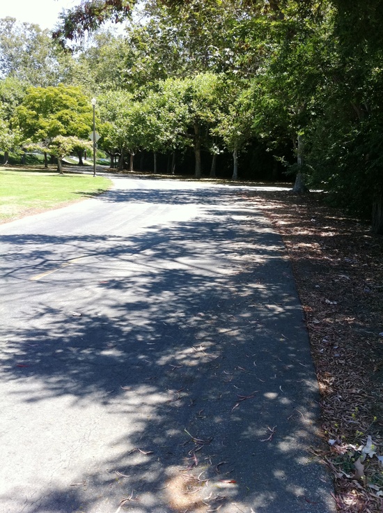 Executive Bike Commute Saga:  Chapter 18 San Gabriel River Bike Route to El Dorado Park Adventure, Part 1