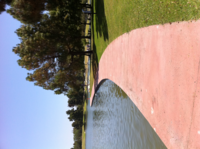 Executive Bike Commute Saga: Chapter 20 San Gabriel River to El Dorado Park Adventure, (Part 2 of Chapter 17)