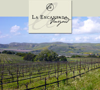 La Encantada Vineyards