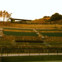 BlueStar Parking proudly announces our selection as the Exclusive Parking Service Provider for the 2012 season at the Santa Barbara Bowl!!!