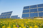 solar panels