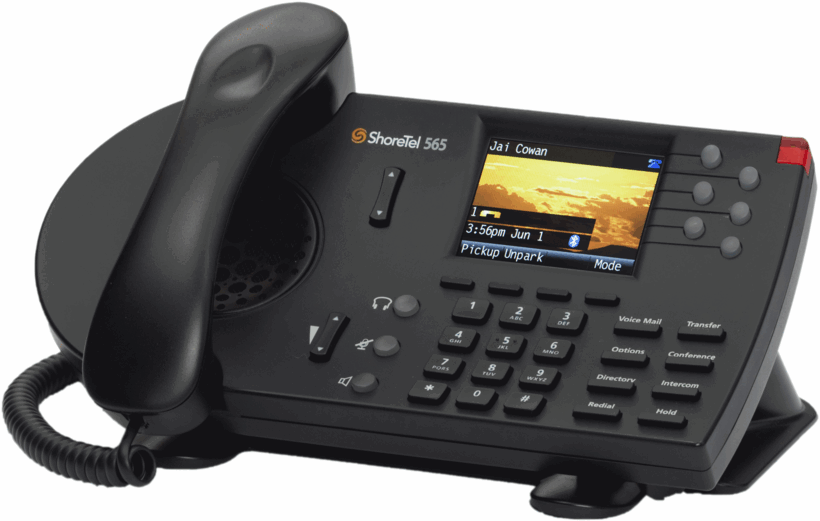 shorephone IP 565g black