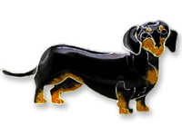 Black and Tan Dachshund Pin