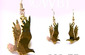 Eagle Flight Earrings
