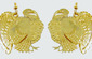 Small Turkey Earrings
