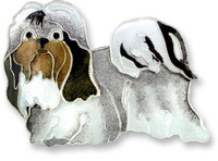 Shih Tzu Pin