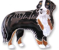 Bernese Mountain Dog Pin