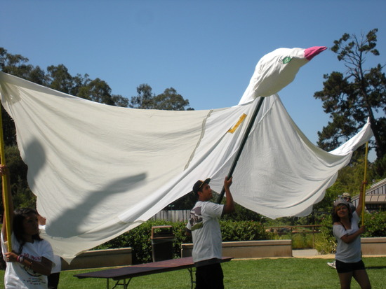 Peace Day 2011!