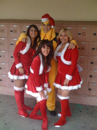 Santa Chicken