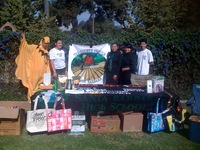 DNC At Sol Festival