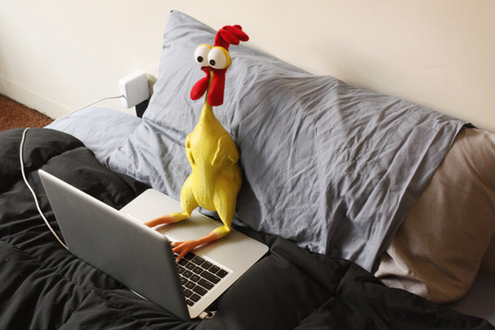 Adventure of Chicken 1