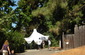 Peace Day 2011!