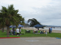 Additional Beach erosion