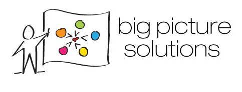 Big Picture Solutions