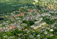 Ulvenhout