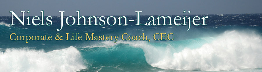 Niels Johnson-Lameijer - Corporate and Life Mastery Coach, CEC | Santa Barbara