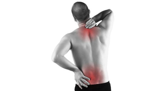 Pain Free Pain Free
