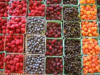 Antioxidants may Improve Male Fertility Antioxidants may Improve Male Fertility