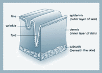 Skin Tightening, Excess Skin, Loose Skin