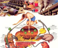Detoxification and Metabolism