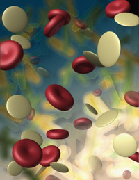 In The News: PRP for Healing Joint Problems In The News: PRP for Healing Joint Problems