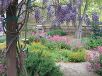 Valley Haven garden