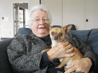 Pet Therapy