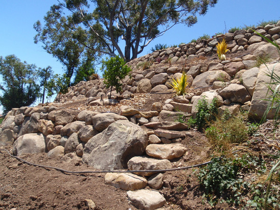 Hillside Slope Retention