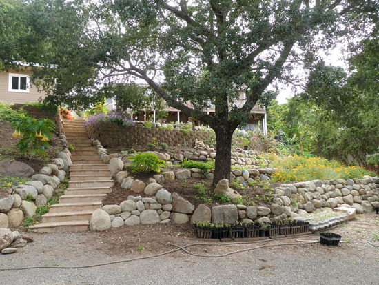 Hillside Terracing