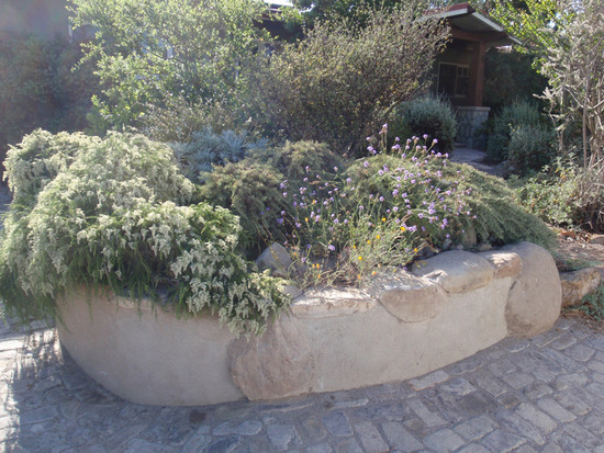 Stucco Walls