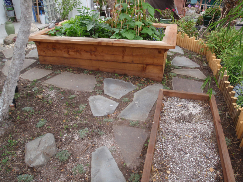 Home Food Forest