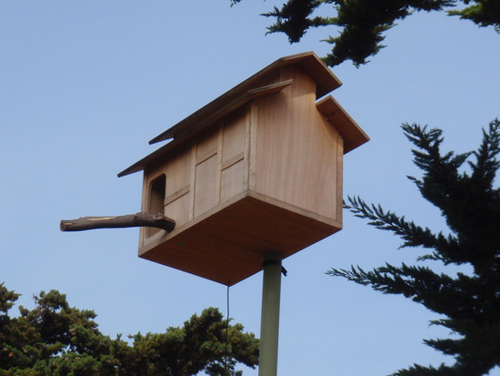 Owl Boxes