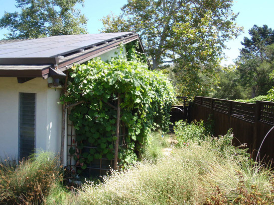 Rainwater Harvesting