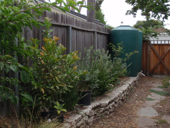 Rainwater Tanks