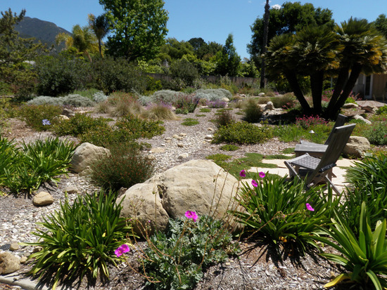 Dry Bioswale Creek
