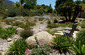Dry Bioswale Creek