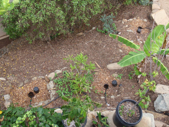 Grey Water Mulch Basins