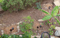 Grey Water Mulch Basins
