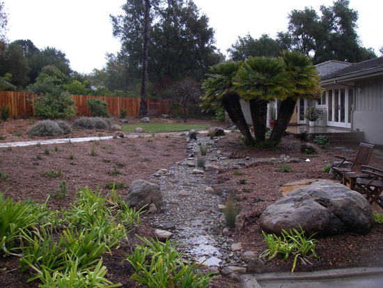 Bioswale in Action