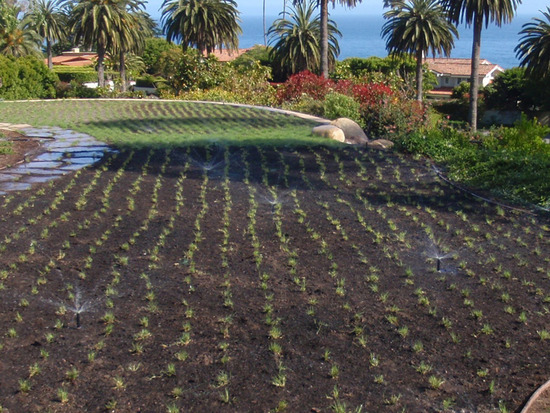 Water Efficient Sprinklers