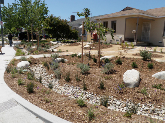 Bioswale