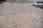 Permeable Driveway