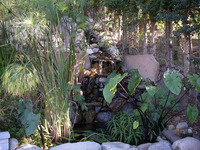 Pond and Waterfall