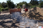 Landscape Management