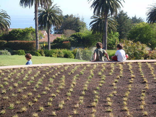 Planting & Design