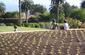 Planting & Design