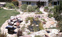 stepping stones through pond